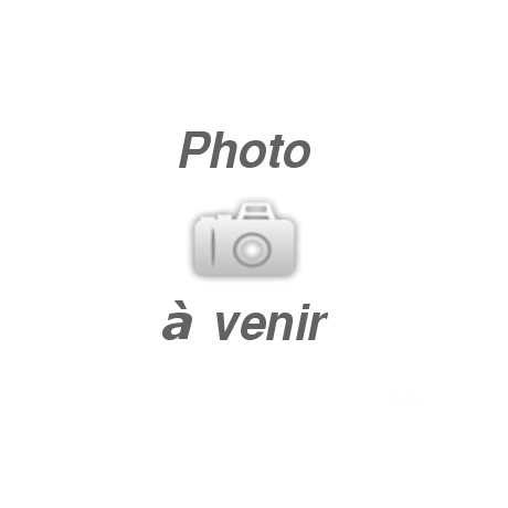 TUBE A POUSSIERES POUR SCIES SAUTEUSES PARKSIDE PERFORMANCE - REF: 91105159