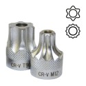 DOUILLE TORX 1/2" INVIOLABLE T55