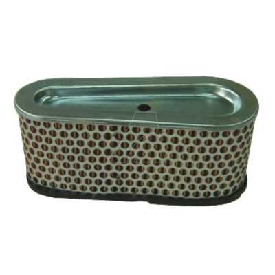 Filtre à air compatible B&S, remplace 496894S