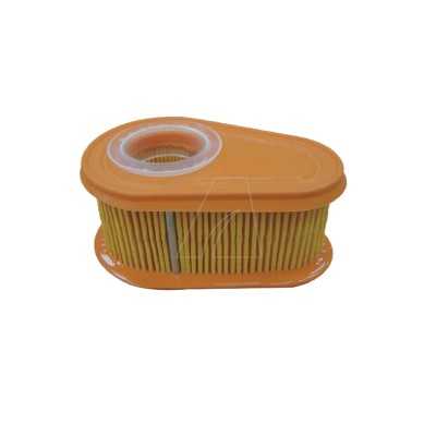 Filtre à air compatible B&S, remplace 792038