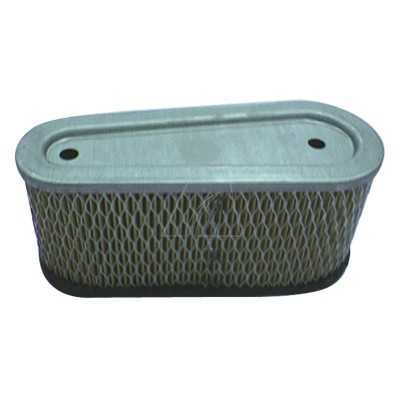 Filtre à air compatible Tecumseh, remplace 36356
