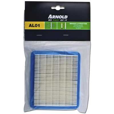Filtre à air compatible moteurs B&S Quantum des séries 625, 650, 675