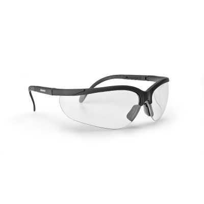 Lunettes de sécurité ARNOLD AZ124, verres transparents