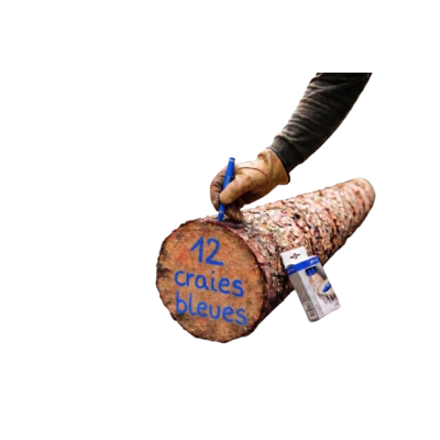 BOITE 12 CRAIES BLEUES STIHL