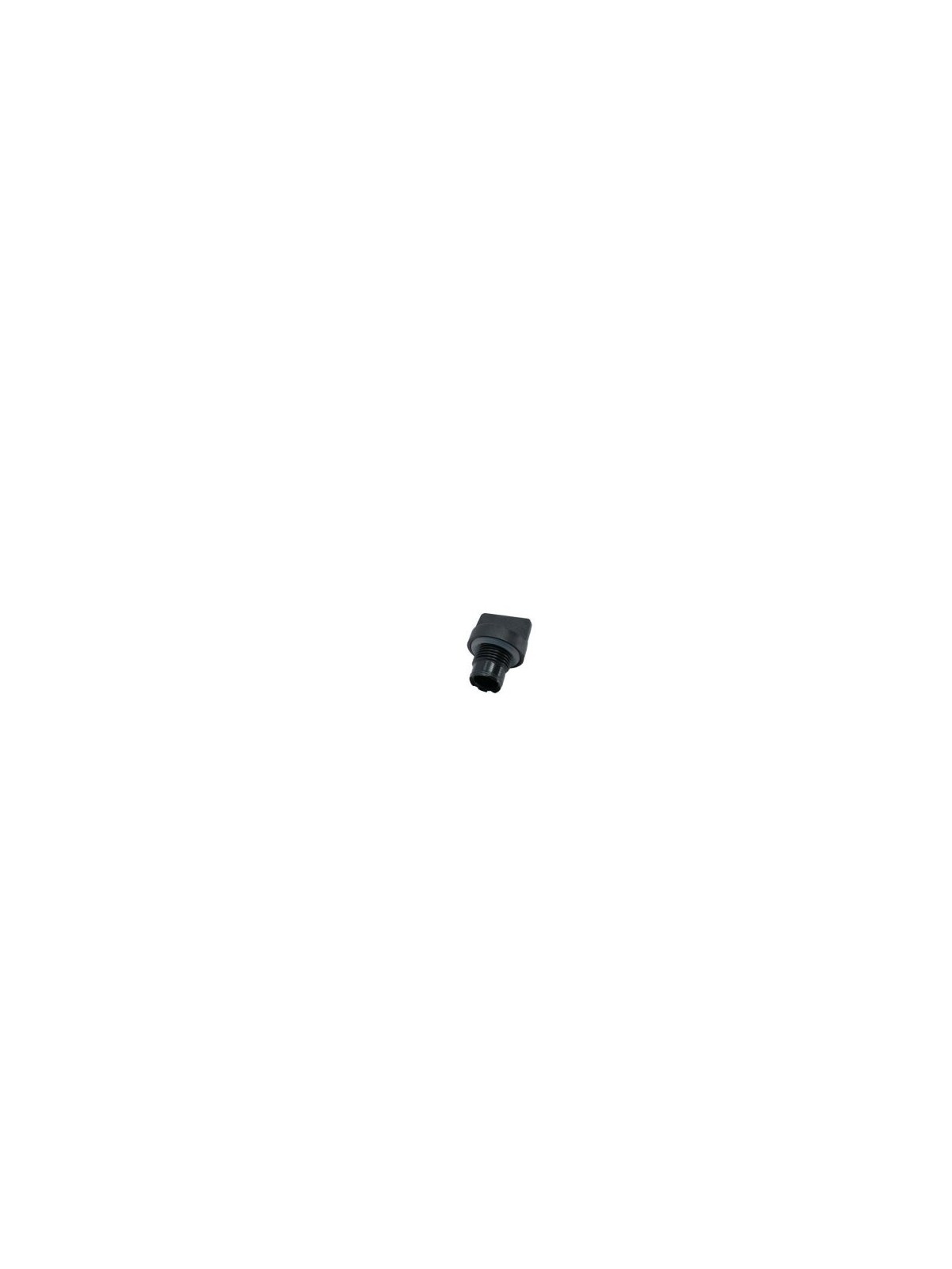 BOUCHON DE REMPLISSAGE OU VIDANGE + JOINT POUR POMPE FLORABEST ET PARKSIDE FGPS 1100 C3 - PGPS 1100 A1/B2