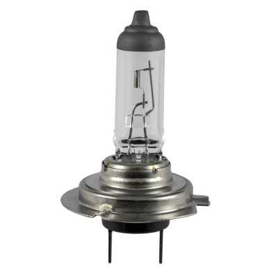 AMPOULE OBN H7 55W
