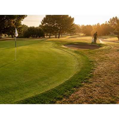 COLORANT PELOUSE