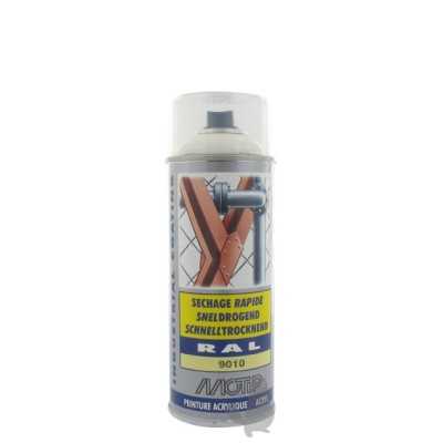 BOMBE DE PEINTURE BLANC - PL