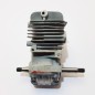 Bloc moteur 25 cm³ - REF: 14091023 Bloc moteur 25 cm³ - REF: 14091023