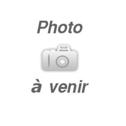 FILTRE EN MOUSSE (lot de 3) POUR ASPIRATEUR PARKSIDE PWD 12 A1 - 332961