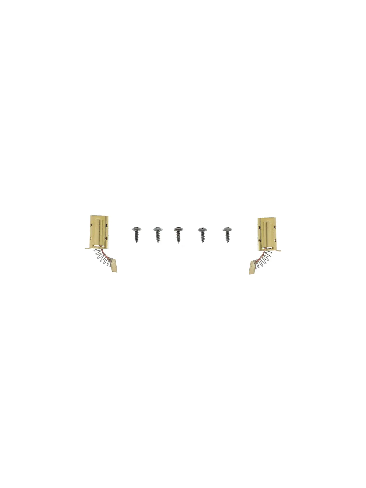 CHARBON POUR TRONÇONNEUSE PARKSIDE PKS 1600 A1/B2 - REF: 91104347