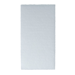 FILTRE D'ENTREE POUR ASPIRATEURS PARKSIDE PERFORMANCE - REF: 91110489