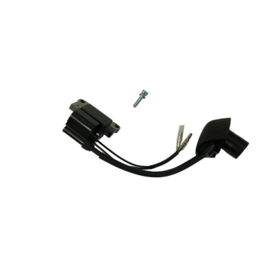 BOBINE D'ALLUMAGE POUR DEBROUSSAILLEUSES PARKSIDE - REF: 13602038