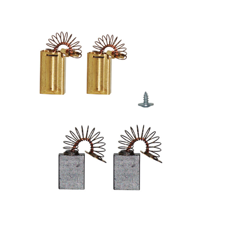 CHARBONS AVEC SUPPORTS POUR TRONCONNEUSES PARKSIDE - REF: 75118240