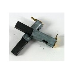 CHARBONS POUR ASPIRATEURS PARKSIDE PNTS 1250/9 et  1300 A1