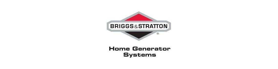 PRODUITS BRIGGS & STRATTON