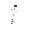 PPBS 3 B2 - IAN 495693