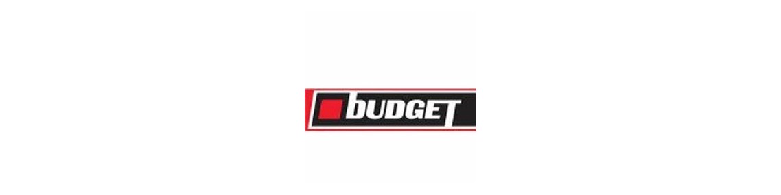 BUDGET